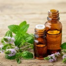 10ml Peppermynte - Premium (Mentha piperita) fra USA thumbnail