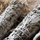 Hvit salvie smudge stick thumbnail