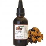 Chaga ekstrakt 60ml