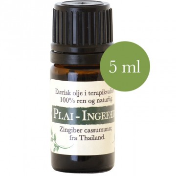 5ml Plai - Thailandsk Ingefær (Zingiber cassumunar) Thailand