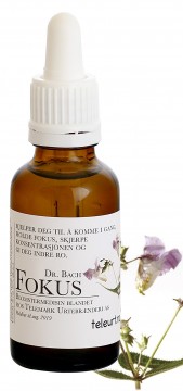 Fokus essens, 30 ml, blomstermedisin