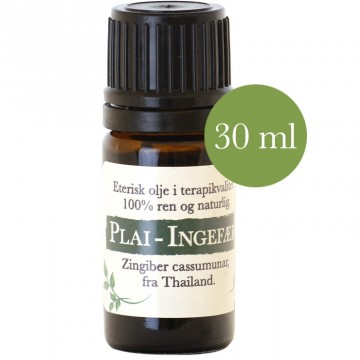 30ml Plai - Thailandsk Ingefær (Zingiber cassumunar) Thailand