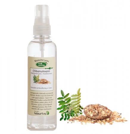 Olibanum hydrolat (røkelsestre) 125ml