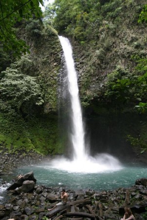 Rock Water (kildevann), blomstermedisin