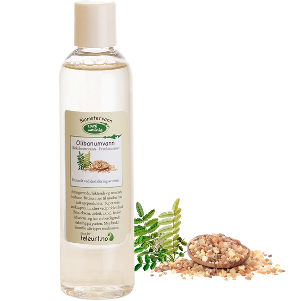 Olibanumvann - røkelsestre - frankincense