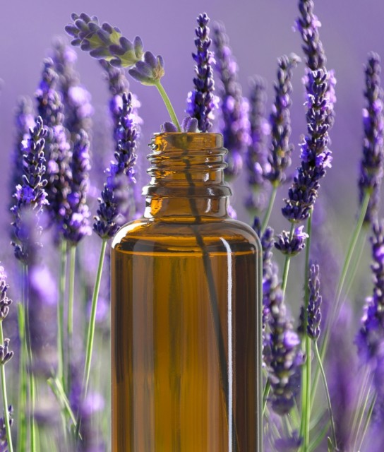 Lavendel eterisk olje