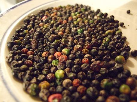 sorte pepperfrø sorte pepperfrø