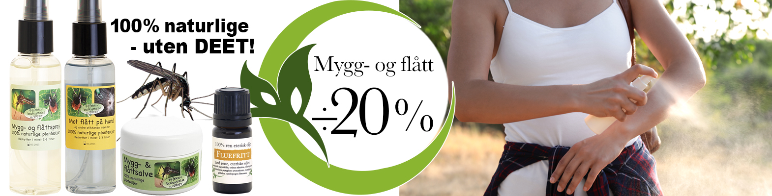 Mygg flått