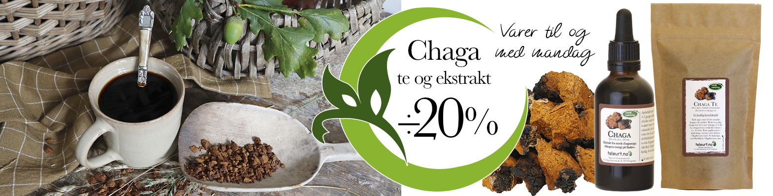 Chaga